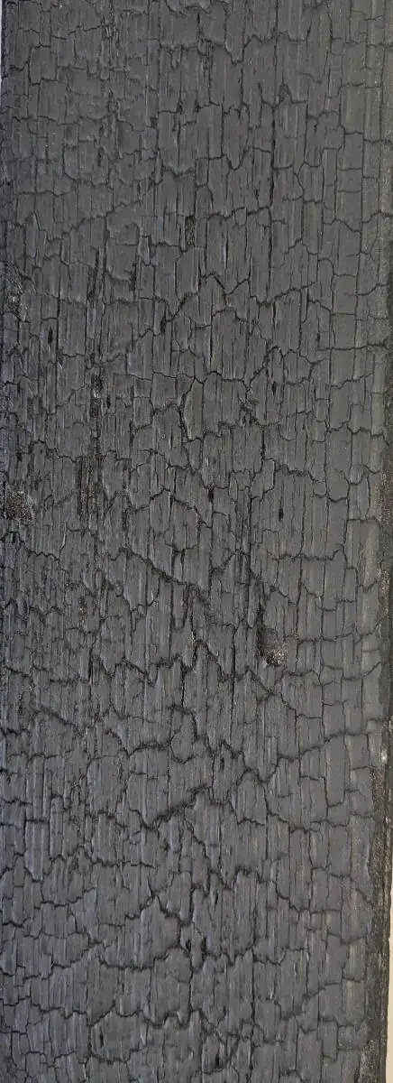 Pareclose en bois brûlé noir à l'écorce craquelée